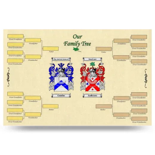 Record Your Own Family Tree