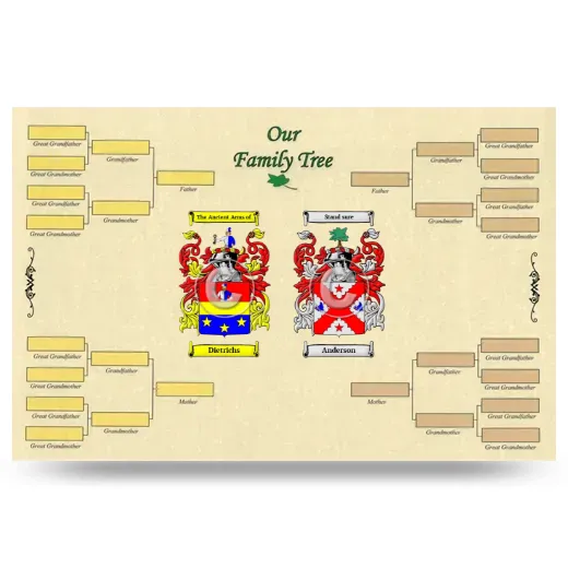 Record Your Own Family Tree