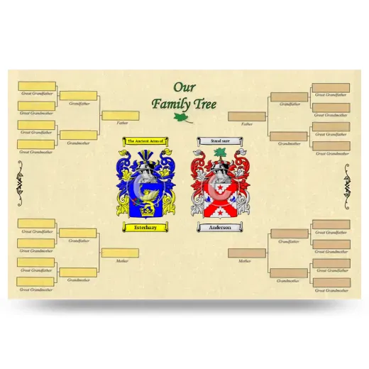 Record Your Own Family Tree