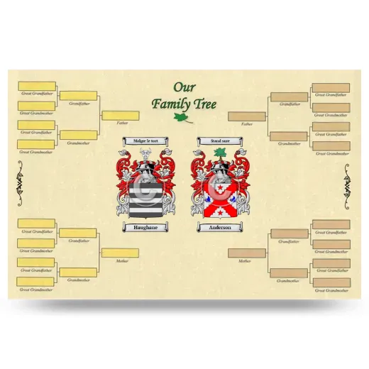 Record Your Own Family Tree