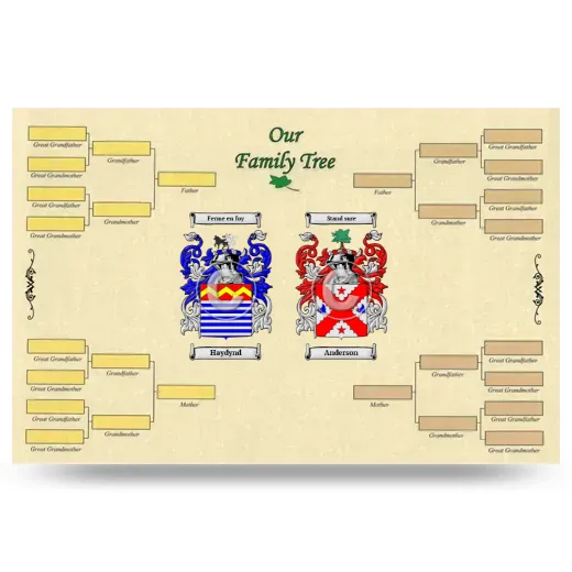 Record Your Own Family Tree