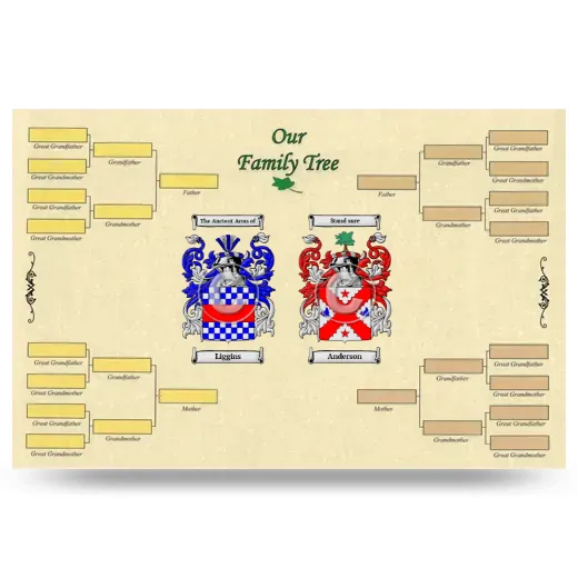 Record Your Own Family Tree