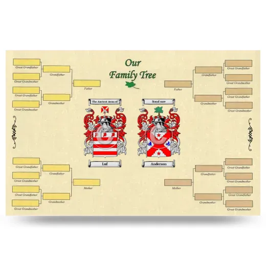 Record Your Own Family Tree