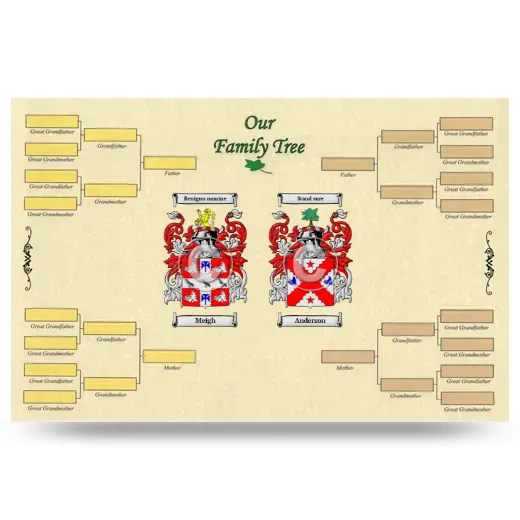 Record Your Own Family Tree