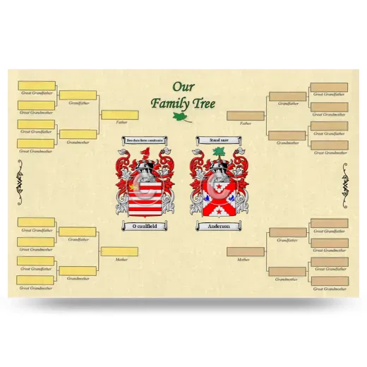 Record Your Own Family Tree