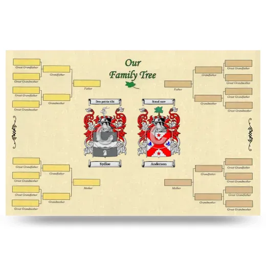 Record Your Own Family Tree