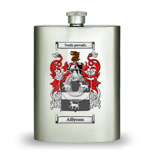 Aillysum Stainless Steel Hip Flask