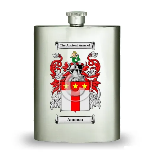 Ammon Stainless Steel Hip Flask