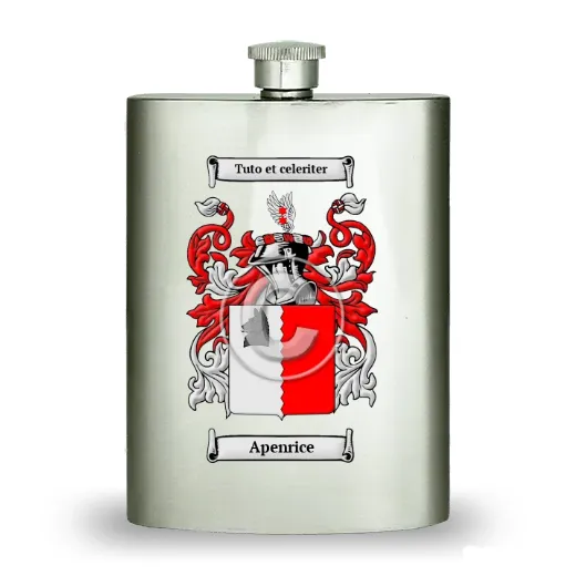 Apenrice Stainless Steel Hip Flask