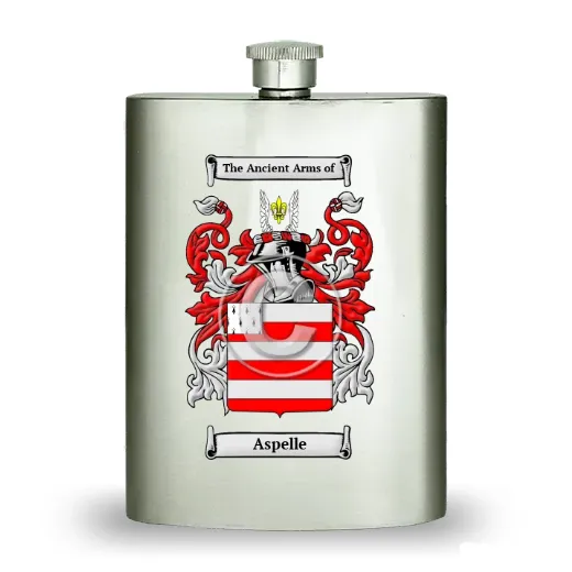 Aspelle Stainless Steel Hip Flask