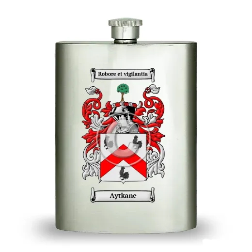 Aytkane Stainless Steel Hip Flask
