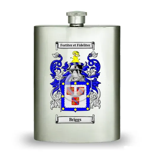 Briggs Stainless Steel Hip Flask