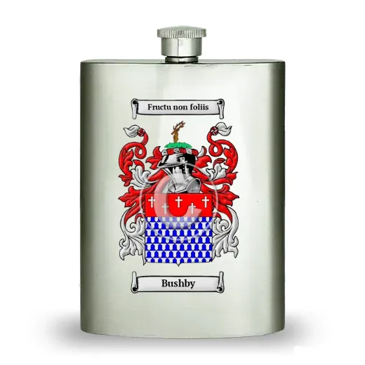 Bushby Stainless Steel Hip Flask