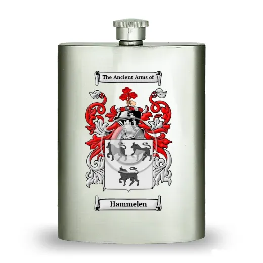 Hammelen Stainless Steel Hip Flask