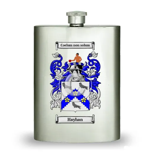 Hayhan Stainless Steel Hip Flask