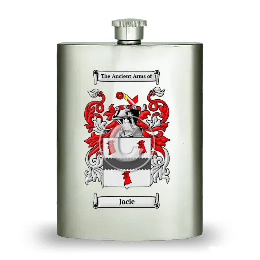 Jacie Stainless Steel Hip Flask
