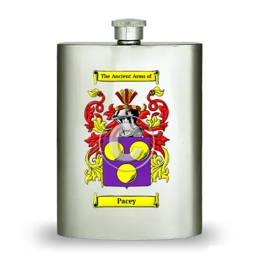 Pacey Stainless Steel Hip Flask