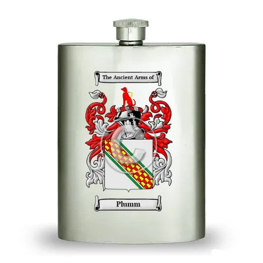 Plumm Stainless Steel Hip Flask