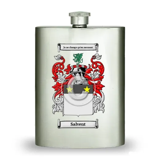 Salvent Stainless Steel Hip Flask