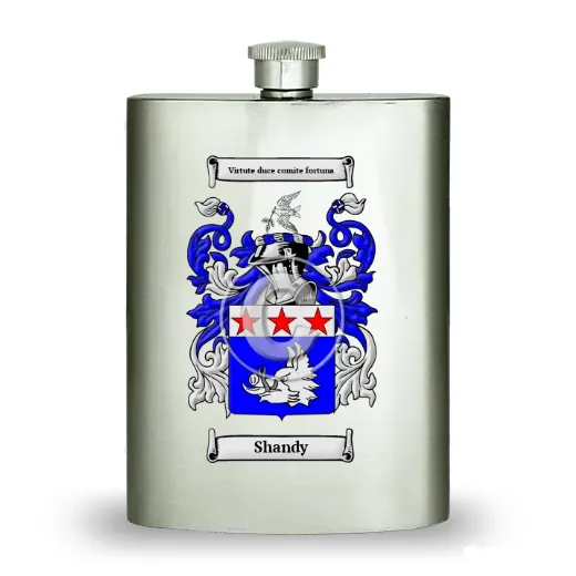 Shandy Stainless Steel Hip Flask