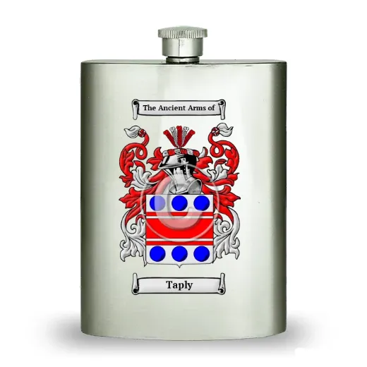 Taply Stainless Steel Hip Flask