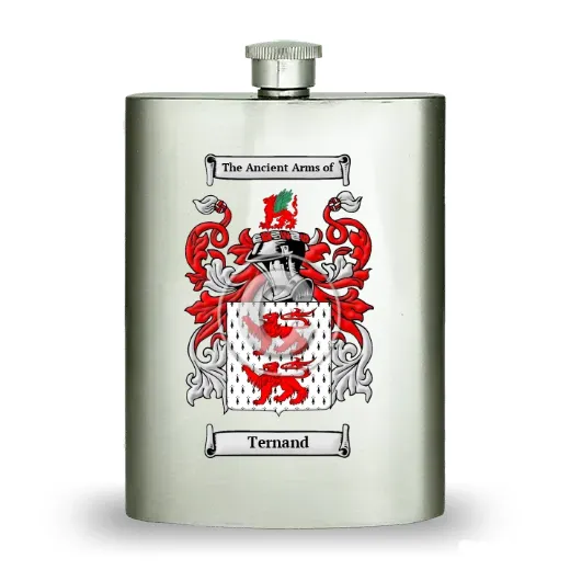 Ternand Stainless Steel Hip Flask