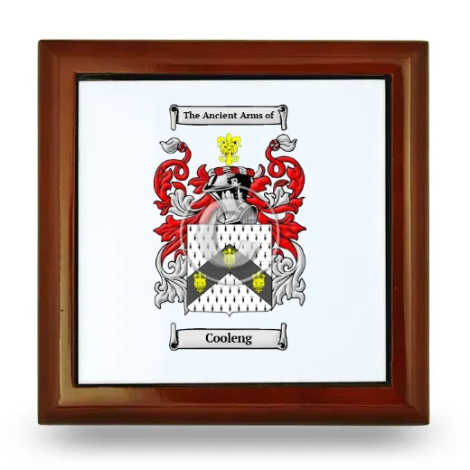 Cooleng Wooden Jewelry Box