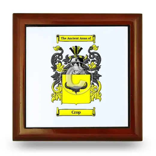 Crop Wooden Jewelry Box