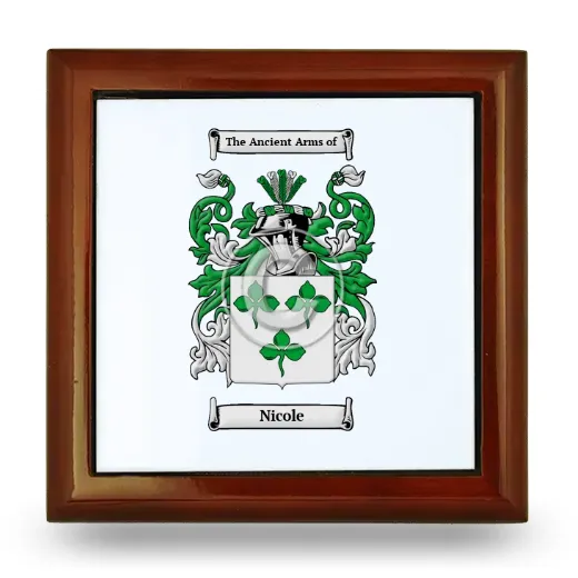 Nicole Wooden Jewelry Box