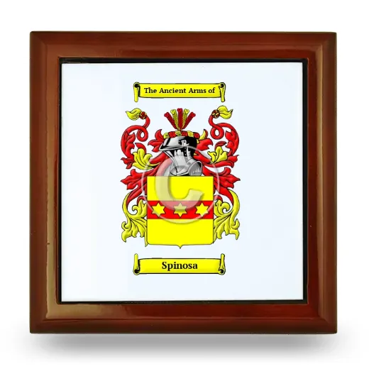 Spinosa Wooden Jewelry Box