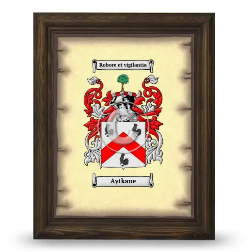 Aytkane Coat of Arms Framed - Brown