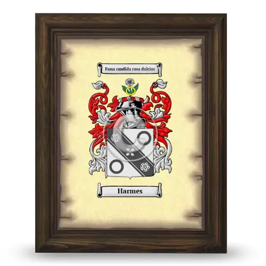 Harmes Coat of Arms Framed - Brown
