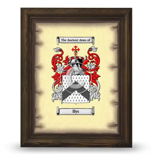 Ilys Coat of Arms Framed - Brown