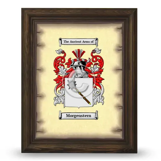 Morgenstern Coat of Arms Framed - Brown