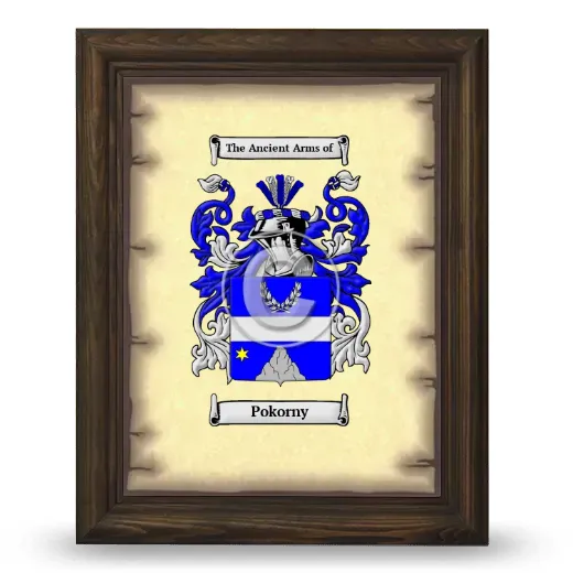 Pokorny Coat of Arms Framed - Brown
