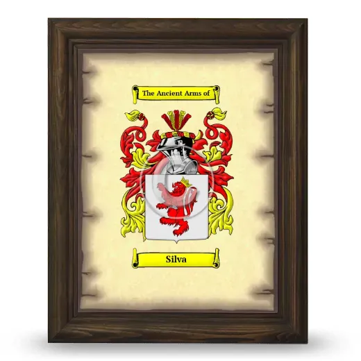 Silva Coat of Arms Framed - Brown