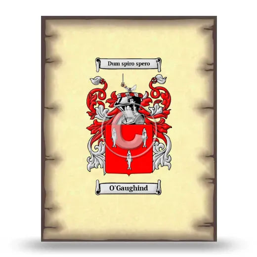 O'Gaughind Coat of Arms Print