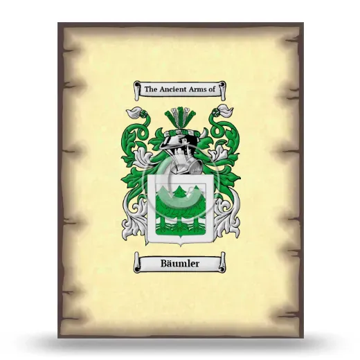 Bäumler Coat of Arms Print