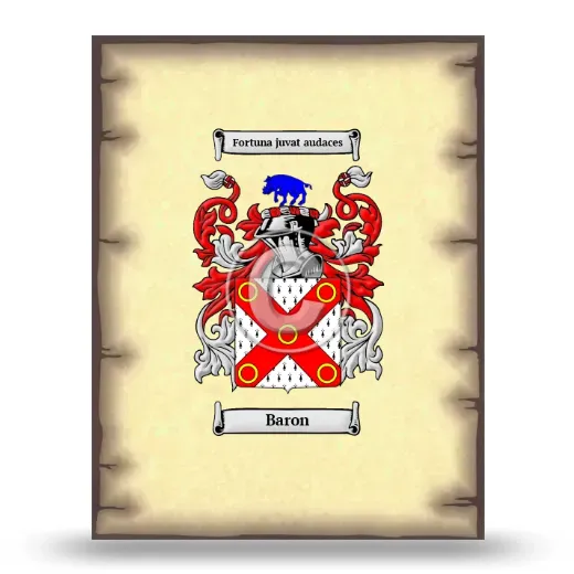 Baron Coat of Arms Print