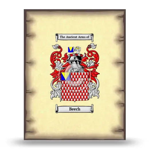 Beech Coat of Arms Print