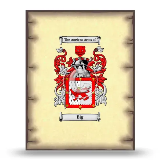 Big Coat of Arms Print