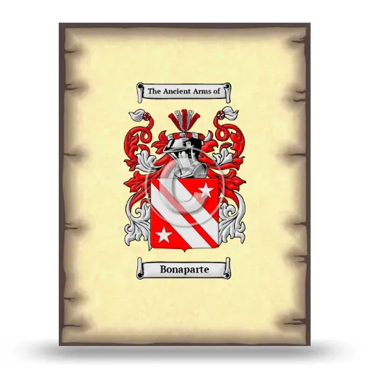 Bonaparte Coat of Arms Print