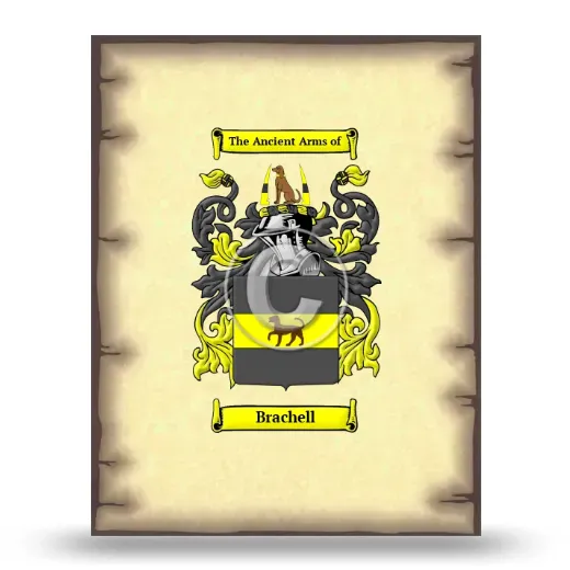 Brachell Coat of Arms Print