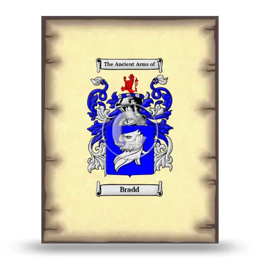 Bradd Coat of Arms Print