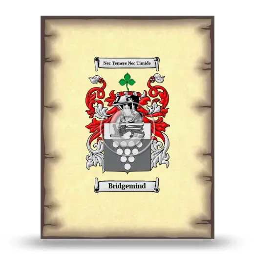 Bridgemind Coat of Arms Print