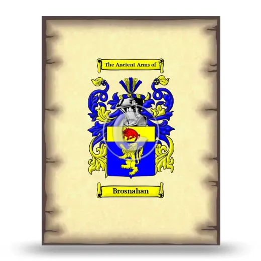 Brosnahan Coat of Arms Print