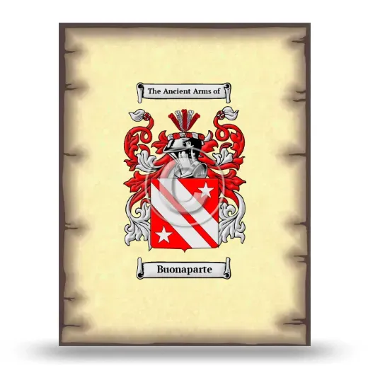 Buonaparte Coat of Arms Print