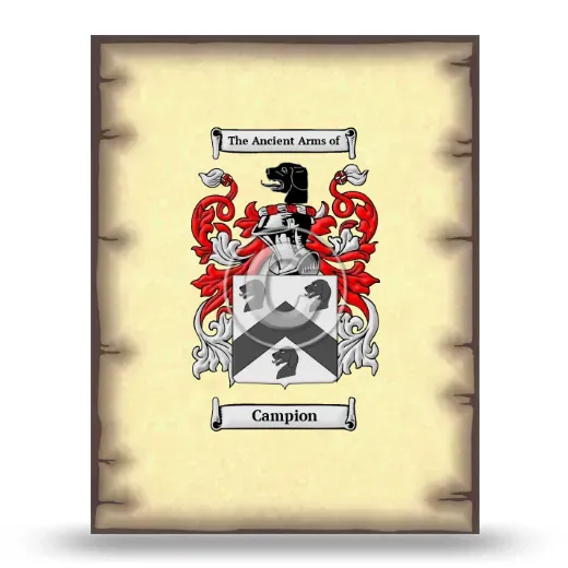 Campion Coat of Arms Print