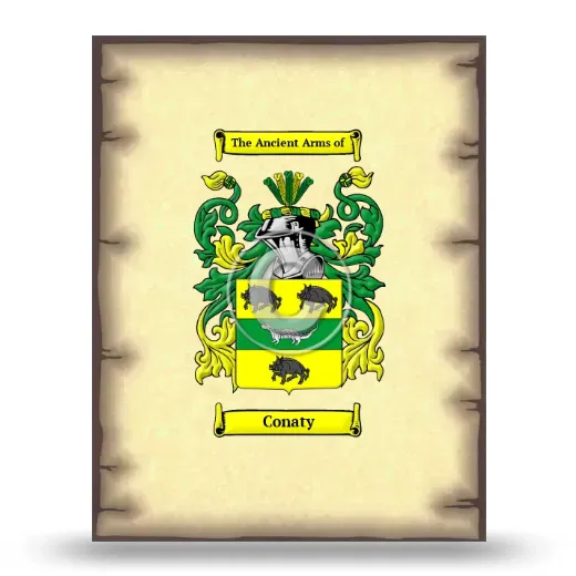 Conaty Coat of Arms Print