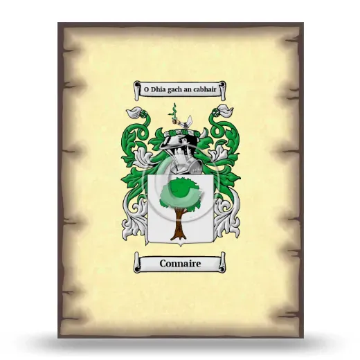 Connaire Coat of Arms Print